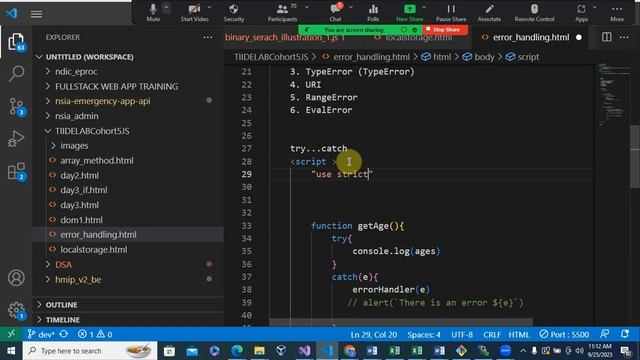 JavaScript Error Handling