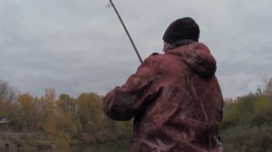 Рыбалка осенью на фидер