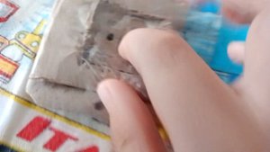 Обзор на ипр 513 10 из картона
