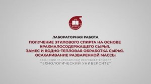 Салина А.А. Получение этилового спирта на основе крахмалосодержащего сырья. Замес и водно-тепловая