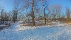 Лыжи Nordway xc. Тест лыж  Nordway xc в небольшой прогулке.