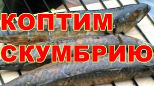 КАК ЗАКОПТИТЬ СКУМБРИЮ ! ПРОСТОЙ РЕЦЕПТ ГОРЯЧЕГО КОПЧЕНИЯ СКУМБРИИ !