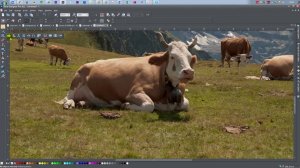 Xara. Обработка фотографий средствами программы