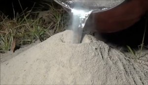 Что получится если в заброшенный муравейник залить жидкий алюминий?