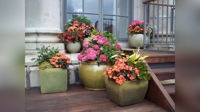 Цветы для уличных вазонов на даче смотреть онлайн