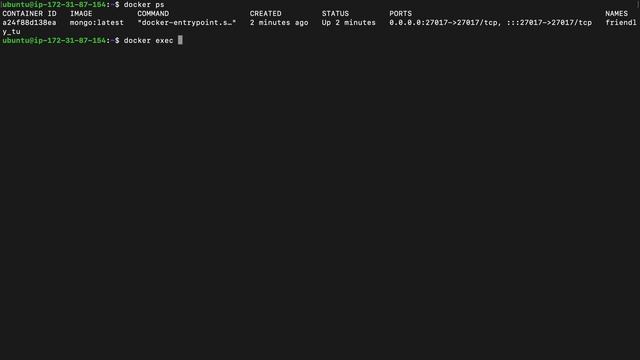 #3 Install and Run MongoDB using Docker on EC2 instance смотреть онлайн