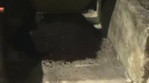 Торф, РДИ-2_350