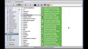 mac os x 11 Свойства; Выделение файлов и папок