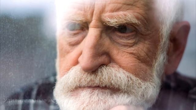 Все были в ИЗУМЛЕНИИ, когда увидели ВОЛКА с замёрзшим младенцем на свежей могиле на кладбище... смотреть онлайн