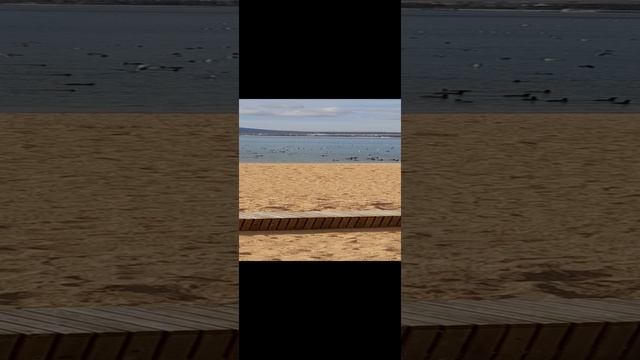 февраль в Геленджике.
