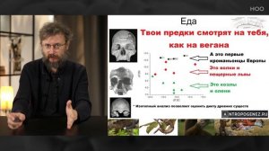 ГРУЗ ПРОШЛОГО В МОЗГЕ ЧЕЛОВЕКА  Дробышевский об эволюции нервной системы  НОО