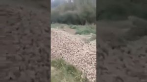 Создание искусственного дефицита