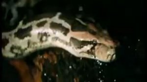 индийская песня из фильма второй я