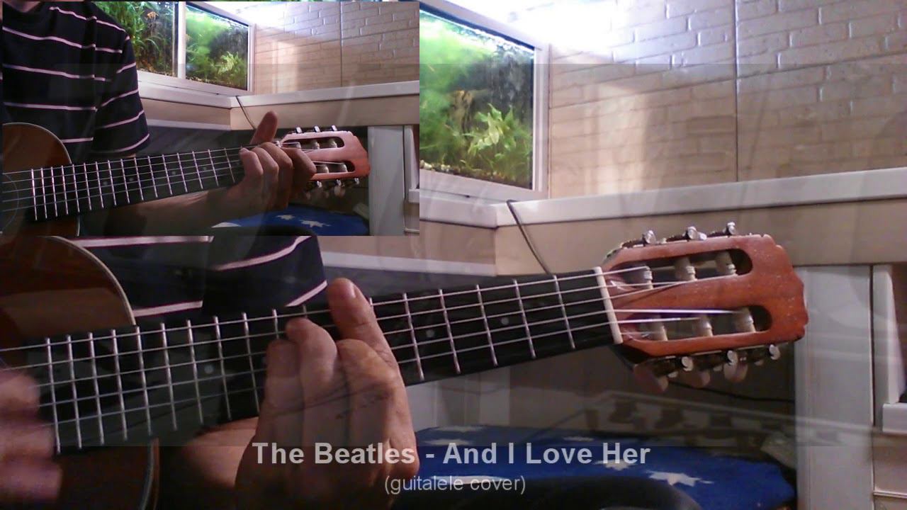 Beatles, The   And I Love Her укулеле кавер в плюс