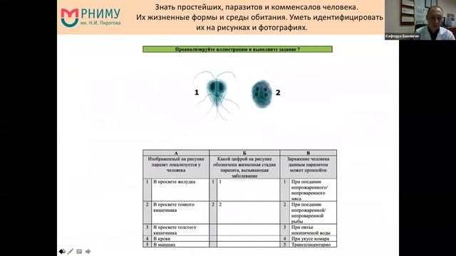 МК теория консультация 1