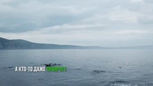 Что такое Татарский пролив?