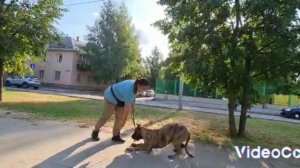 тренинг перед выставкой