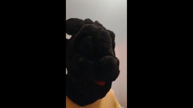 Фурсьют беззубика (продвижение)) смотреть онлайн