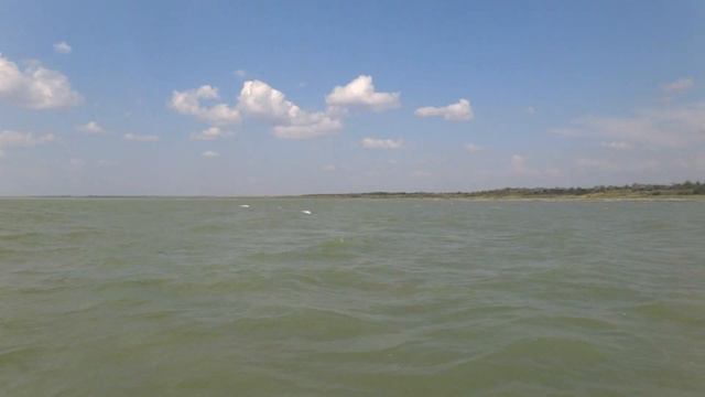 Озеро Большое топольное новосибирской области на границе с Казахстаном. Шикарный спот!