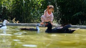 Do daily work on the farm,Children go to live with their parents,Taking care of the vegetable garde