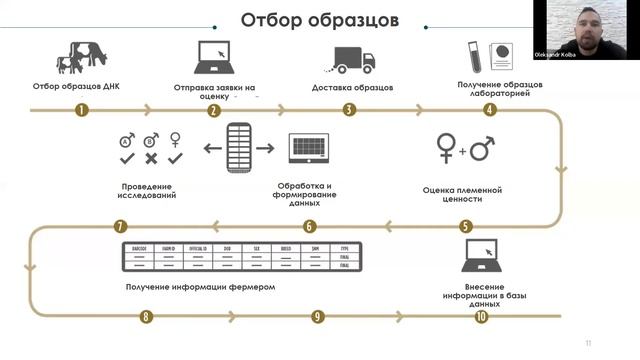 Геномная оценка КРС