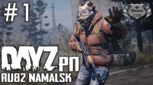 S.T.A.L.K.E.R Lite RP | DayZ | RU82 Namalsk | Первый взгляд #1