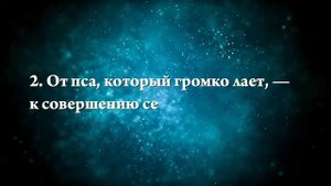 К чему снится убегать от собаки - Онлайн Сонник Эксперт