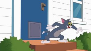 📹 Шоу Тома и Джерри | Восьминогая угроза | Boomerang