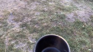 А сказали зря приехал, говорили уезжай! Рыбалка в октябре! Карпы атакуют, эти паровозы нужно видеть