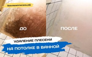 Удаление плесени на потолке в ванной | Санкт-Петербург и Лен.обл