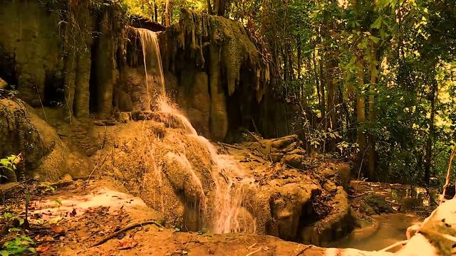 Relaxing Music with Water Sounds, Peaceful Ambience for Spa, Stress Relief, Study, Sleep смотреть онлайн