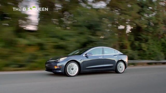 Tesla Insurance Faces Class Action Over Alleged Premium Inflation смотреть онлайн