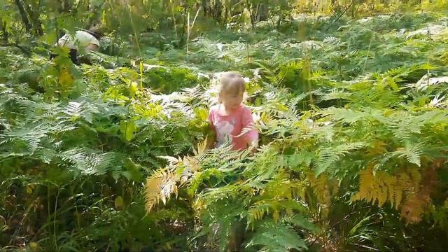 гора Азов 2 серия / Забрались на самый верх / Екатеринбург Свердловская область / Полевской смотреть онлайн