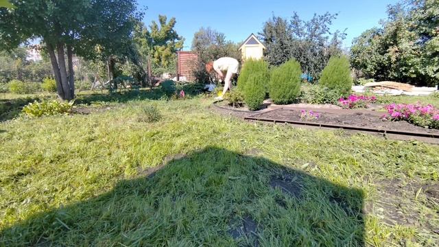 Новый туалет / Чёрная малина /  Приводим дачу в порядок...