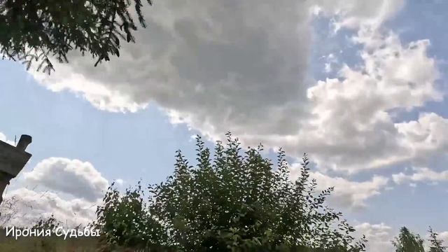 Вика решила отомстить отцу-богачу: он бросил её в детстве. Но её ждал сюрприз...