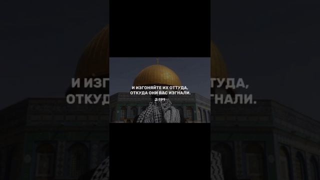 Палестина аяты из Корана #palestine #islam #дуа #призывмусульман