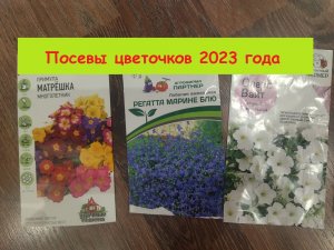 Взошли цветочки, посеянные в 2023 году - показываю, что и как растет