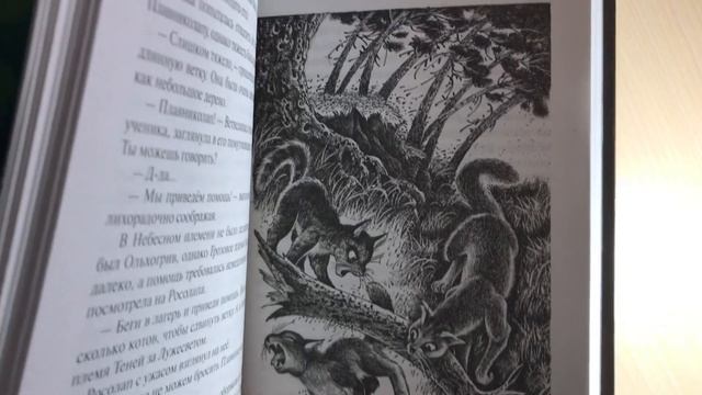 «САМАЯ ТЁМНАЯ НОЧЬ»|Обзор «Коты-Воители» смотреть онлайн