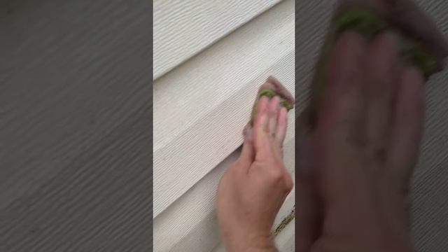 #Сайдинг#отмыть#легко#и #просто# смотреть онлайн