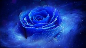 39. Роза Мира. Книга 12. Возможности будущего. Глава 1. Воспитание человека обла.mp4