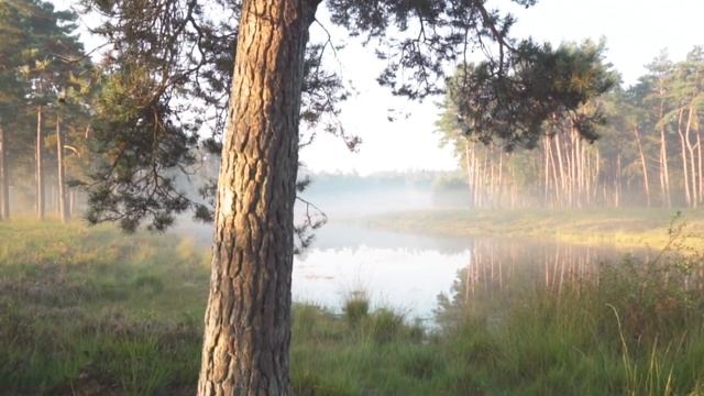 Лунный календарь на сентябрь 2022. Убывающая луна. Фаза луны сегодня. Лунный знак.