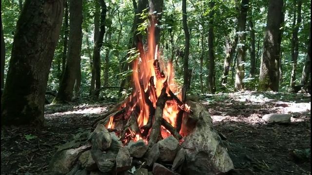 Костер в Лесу / Звуки Костра / Звуки Природы для Релаксации и Сна смотреть онлайн