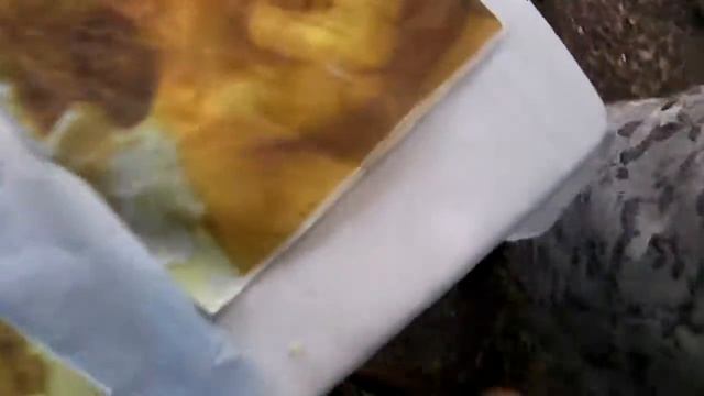 болиголов  народные  методы