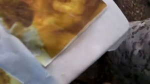болиголов народные методы