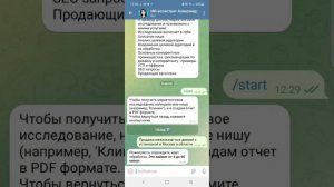 Как пользоваться ботом для генерации маркетингового отчета по вашей нише