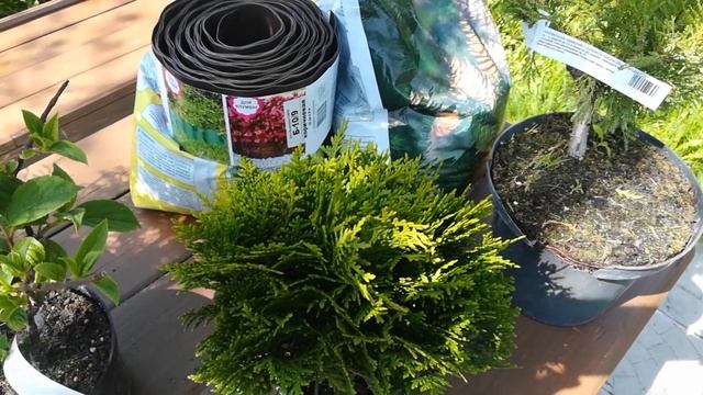 Устройство клумбы и миксбордера своими руками с нуля смотреть онлайн