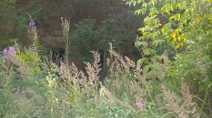 Заброшенная база. В/ч 54607. 16 ОБрСпН ГРУ. 2020 год. Чучково.