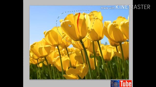 Photoshop in Making A Selection part-3 смотреть онлайн