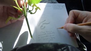 Экскурсия на реку Чапаевка, пробная рыбалка, зарисовки в скетчбуке