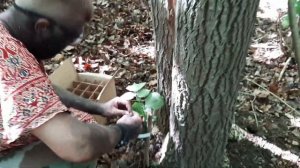 "Кенигсберг 13"